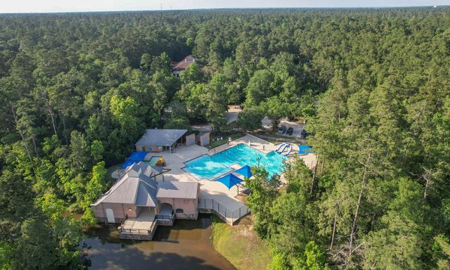 10 Jenny Wren Court, The Woodlands, TX 77382