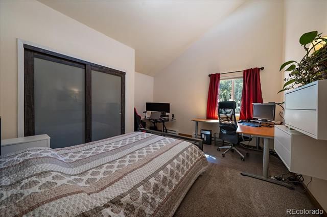 11574 Green Court, Conifer, CO 80433
