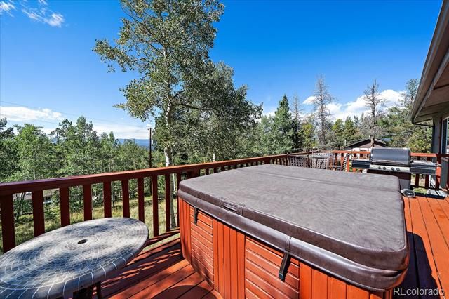 11574 Green Court, Conifer, CO 80433
