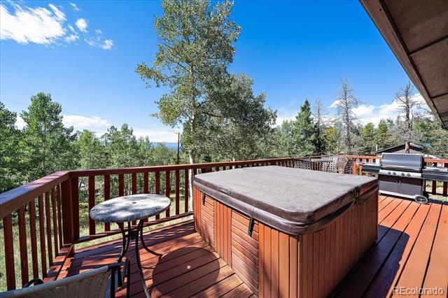 11574 Green Court, Conifer, CO 80433