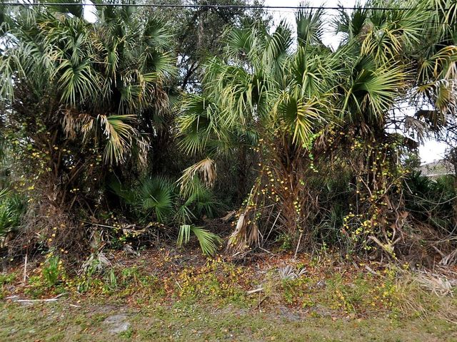 JULIA TERRACE, North Port, FL 34286