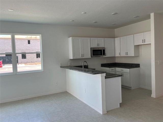 10288 HONEY HAMMOCK WAY, San Antonio, FL 33576