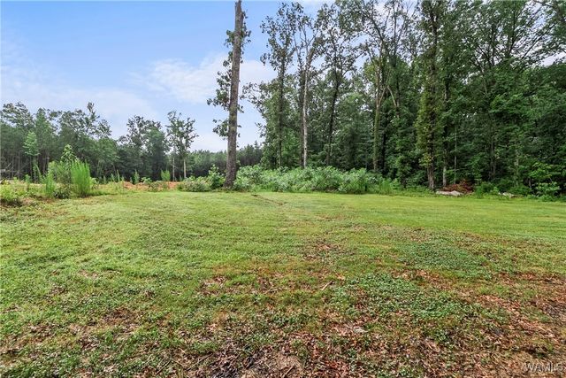 16246 Holly Springs, Northport, AL 35475