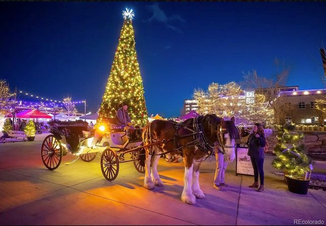 675 Canyon Drive, Castle Rock, CO 80104