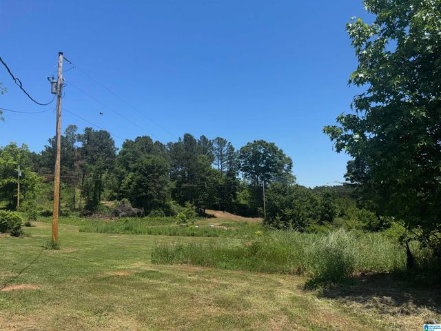 584 COUNTY ROAD 289, Woodland, AL 36278