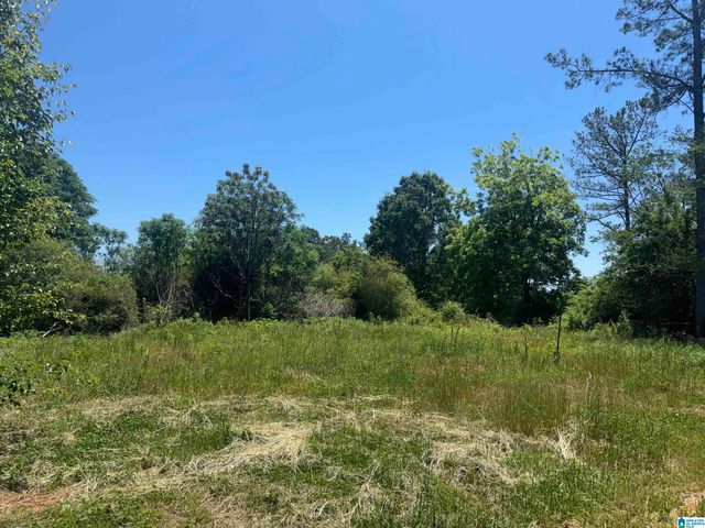 584 COUNTY ROAD 289, Woodland, AL 36278