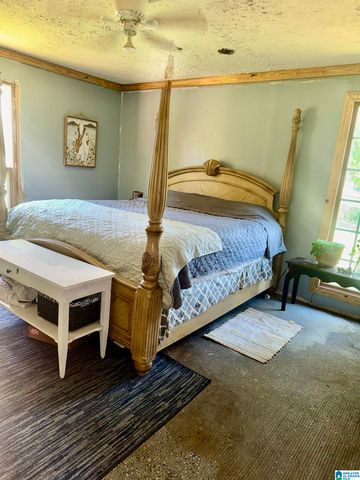 584 COUNTY ROAD 289, Woodland, AL 36278