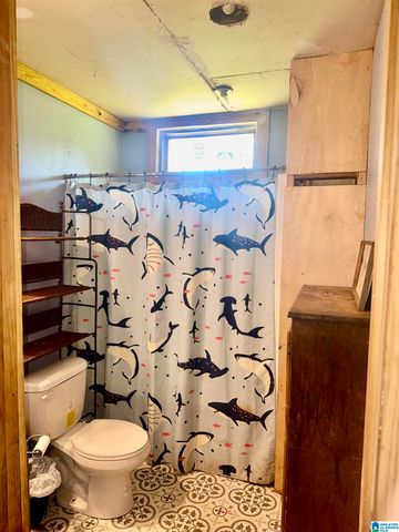 584 COUNTY ROAD 289, Woodland, AL 36278