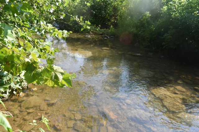 4 Price Ln, Pleasant Shade, TN 37145