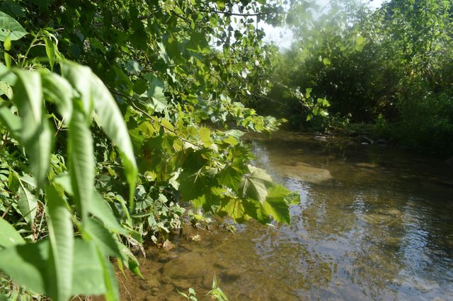4 Price Ln, Pleasant Shade, TN 37145