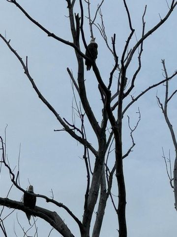 N3139 Buena Vista ROAD, Fort Atkinson, WI 53538