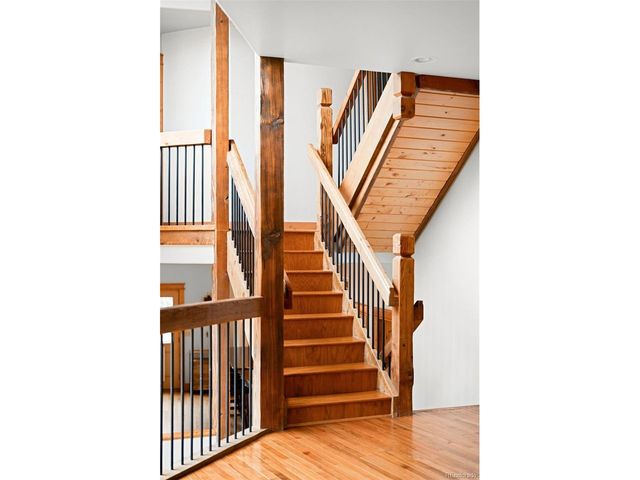 229 Mohawk Trl, Pine, CO 80470