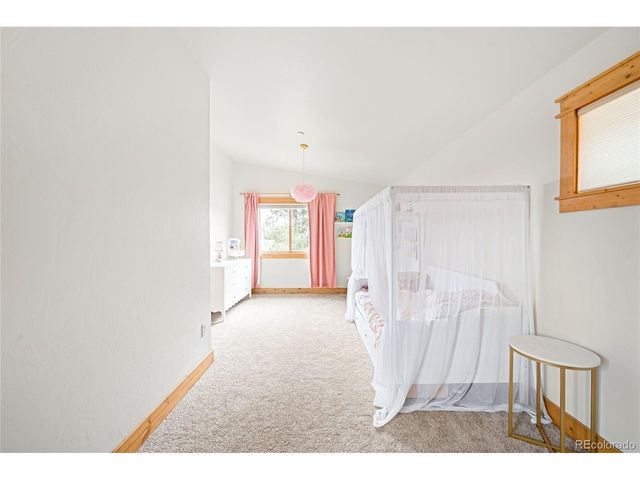 229 Mohawk Trl, Pine, CO 80470