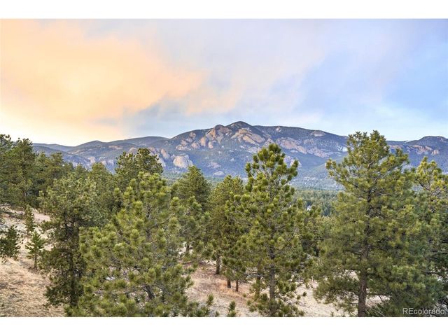 229 Mohawk Trl, Pine, CO 80470