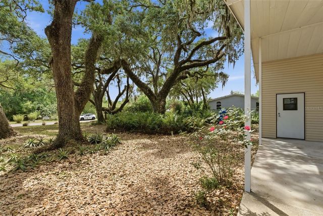 9101 WOOD TERRACE DRIVE, Tampa, FL 33637