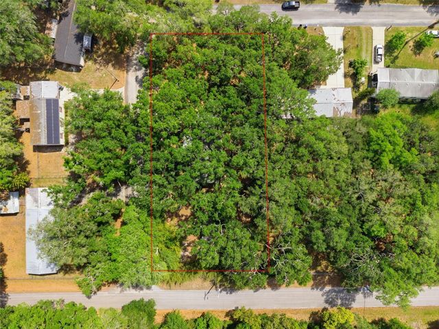 9101 WOOD TERRACE DRIVE, Tampa, FL 33637