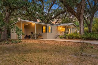 9101 WOOD TERRACE DRIVE, Tampa, FL 33637