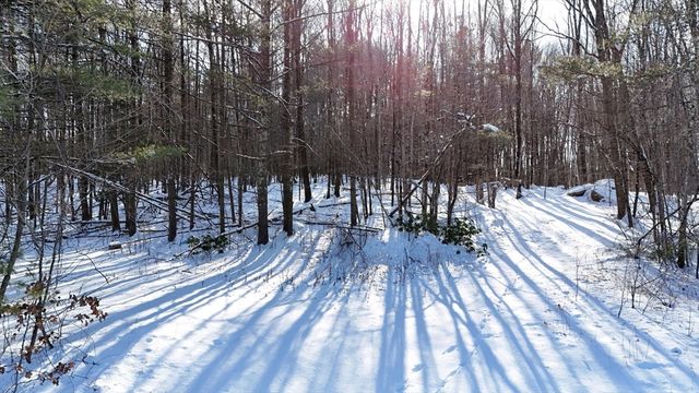6 Gillespie Rd, Charlton, MA 01507