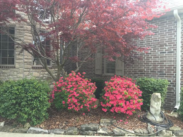 3905 E Windsmore Drive, Springfield, MO 65802