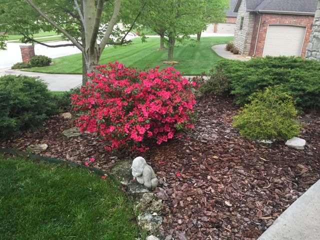 3905 E Windsmore Drive, Springfield, MO 65802