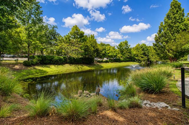 1880 Carolina Towne Court, Mount Pleasant, SC 29464