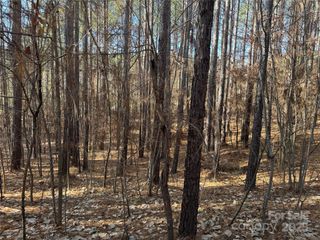 118 Cinder Ridge Court, Troutman, NC 28166