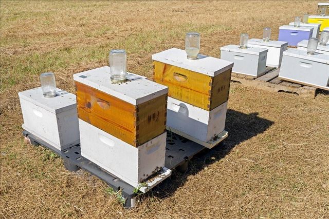 4420 DAUGHARTY ROAD, Deland, FL 32724