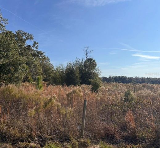 1251 N MAYLEN AVENUE, Lecanto, FL 34461