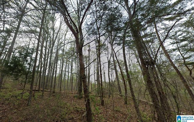 0 WOODLAND AVENUE, Pinson, AL 35126