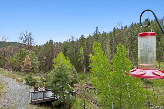 504 Broken Arrow Road, Evergreen, CO 80439
