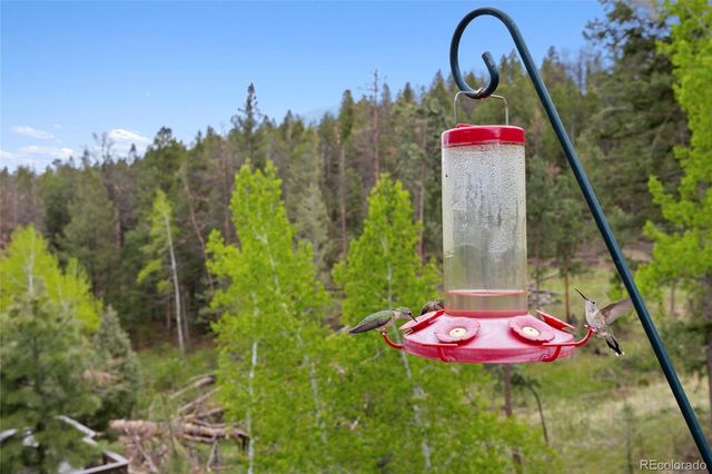 504 Broken Arrow Road, Evergreen, CO 80439
