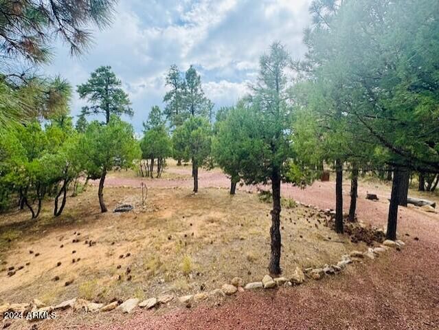 4780 STARLIGHT Drive, Happy Jack, AZ 86024