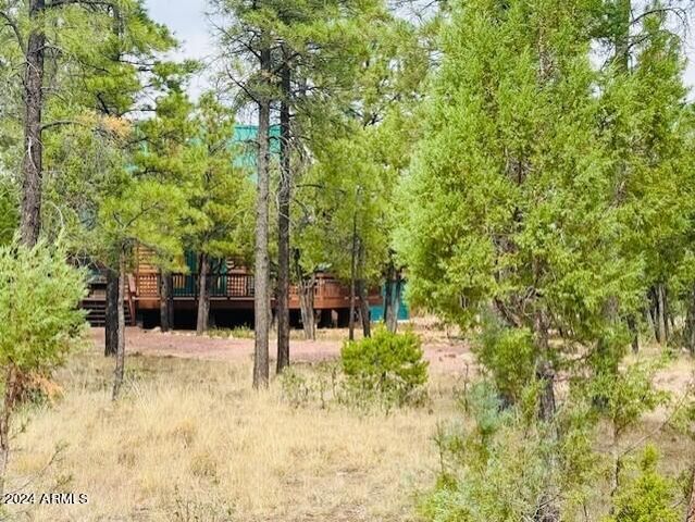 4780 STARLIGHT Drive, Happy Jack, AZ 86024