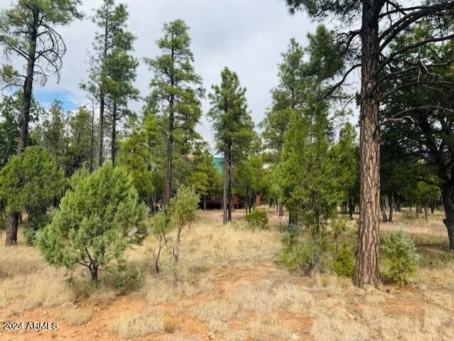 4780 STARLIGHT Drive, Happy Jack, AZ 86024