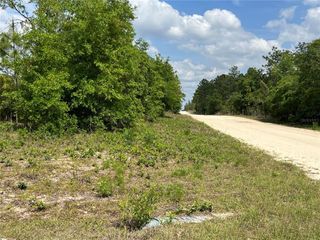 0000 NE 131 TERRACE TERRACE, Williston, FL 32696