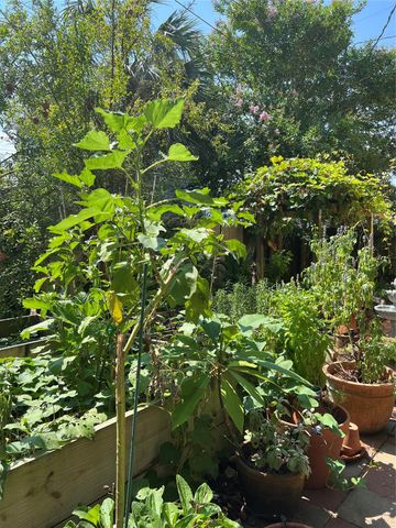 1212 Postoffice Street, Galveston, TX 77550