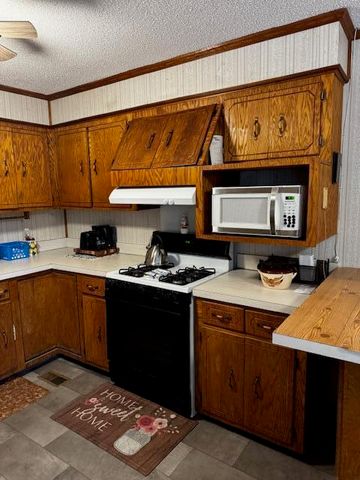 950 Berry Street, Manning, SC 29102