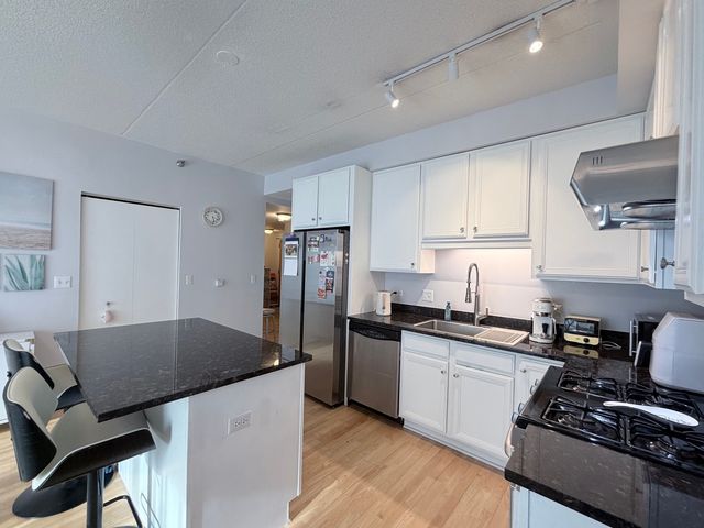 1250 S Indiana Avenue 509, Chicago, IL 60605