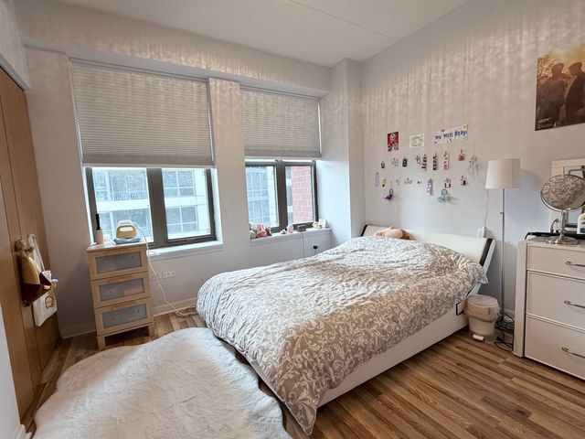 1250 S Indiana Avenue 509, Chicago, IL 60605