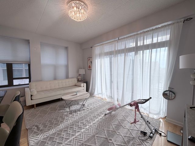 1250 S Indiana Avenue 509, Chicago, IL 60605