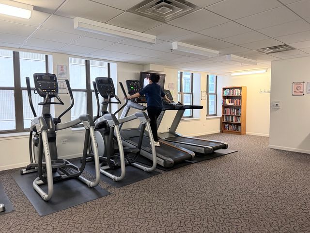 1250 S Indiana Avenue 509, Chicago, IL 60605