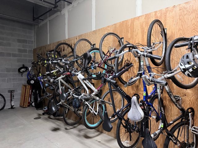 1250 S Indiana Avenue 509, Chicago, IL 60605