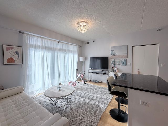 1250 S Indiana Avenue 509, Chicago, IL 60605