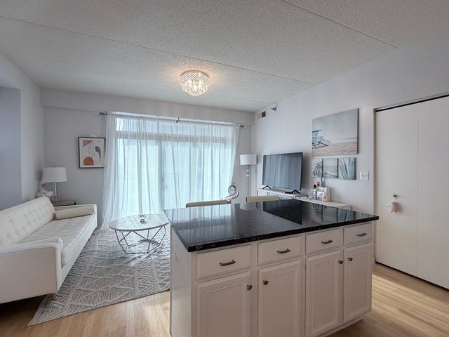 1250 S Indiana Avenue 509, Chicago, IL 60605