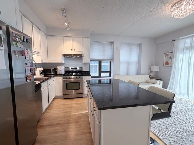 1250 S Indiana Avenue 509, Chicago, IL 60605