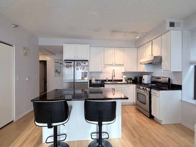 1250 S Indiana Avenue 509, Chicago, IL 60605