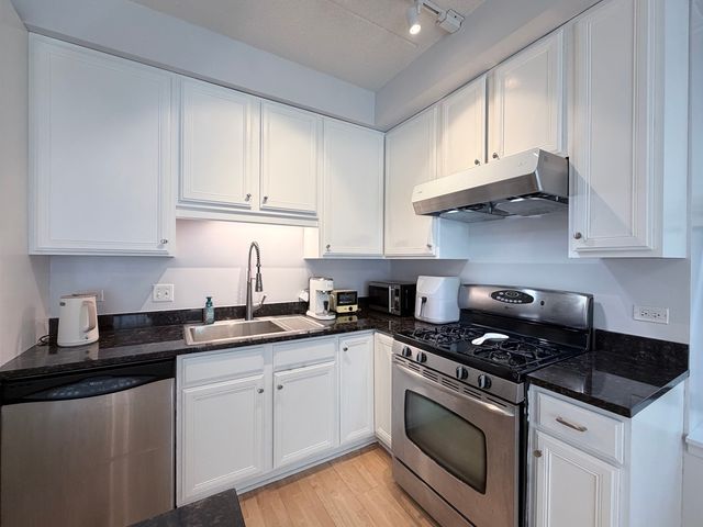 1250 S Indiana Avenue 509, Chicago, IL 60605