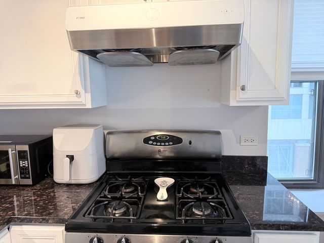 1250 S Indiana Avenue 509, Chicago, IL 60605