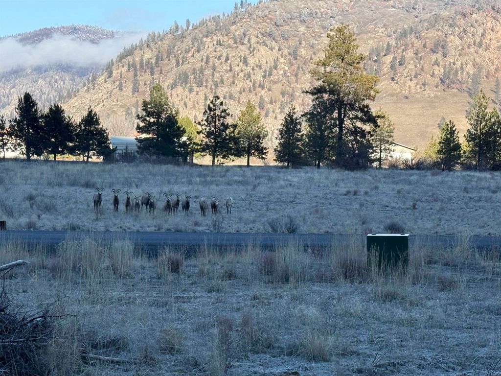 99147 N Sterling Valley Rd, Lincoln, WA 99147 photo 11