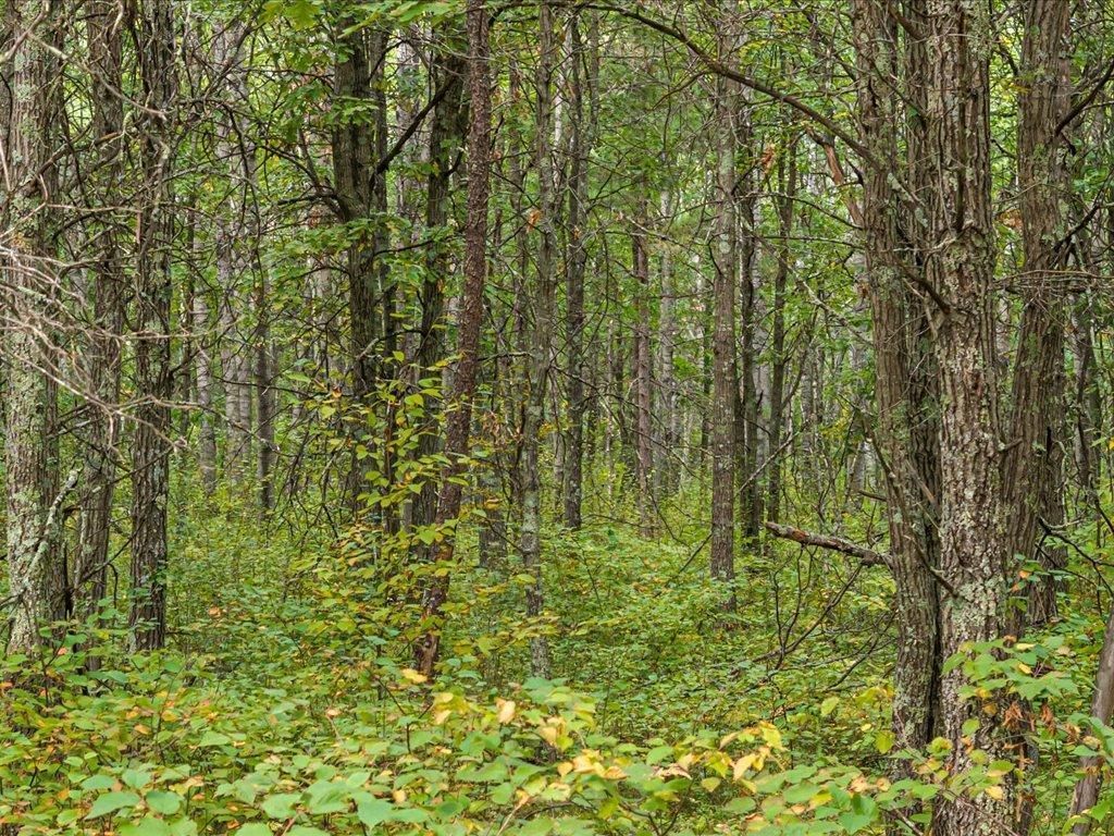 Lot B Sandbar Lane, Mission Twp, MN 56465